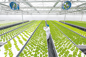 Agricultural Supplies