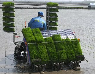 Full Coverage Film Covering System