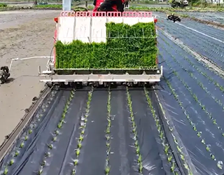 Fully Automatic Membrane End Treatment System