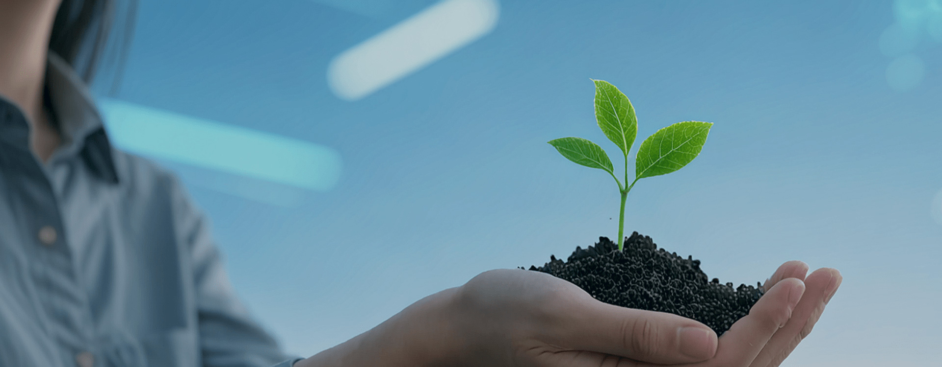 Sustainable Development