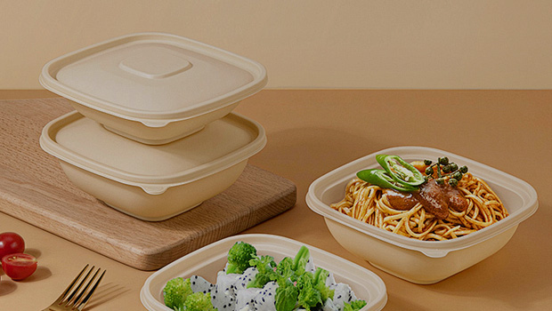 Disposable Food Container