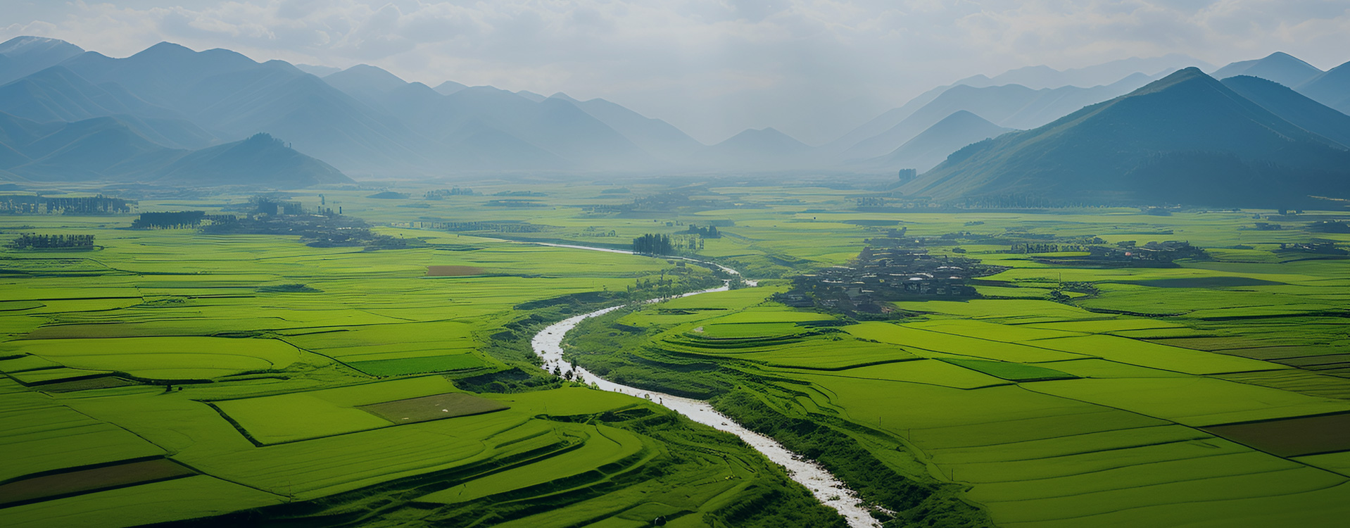 Rice Mulching Industry