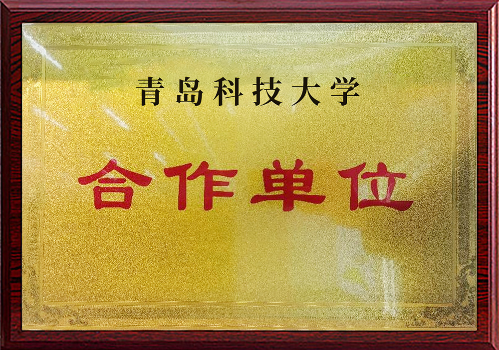 Partner institution: Qingdao University of Science and Technology