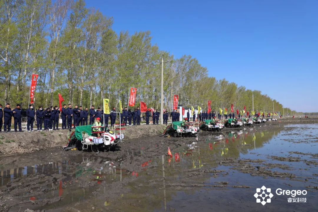 Ruian Technology Helps Beidahuang Zhaoyuan Farm with Smart and Green Agriculture