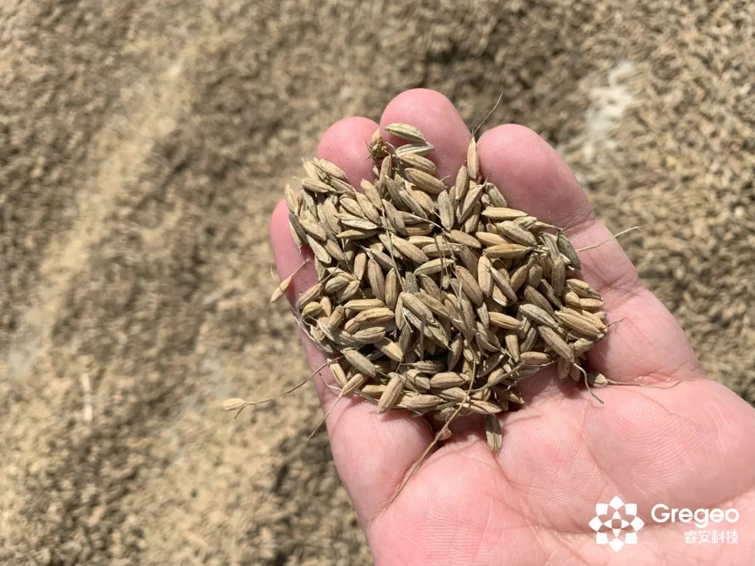 World Food Day: Exploring Innovative Pathways to Food Security